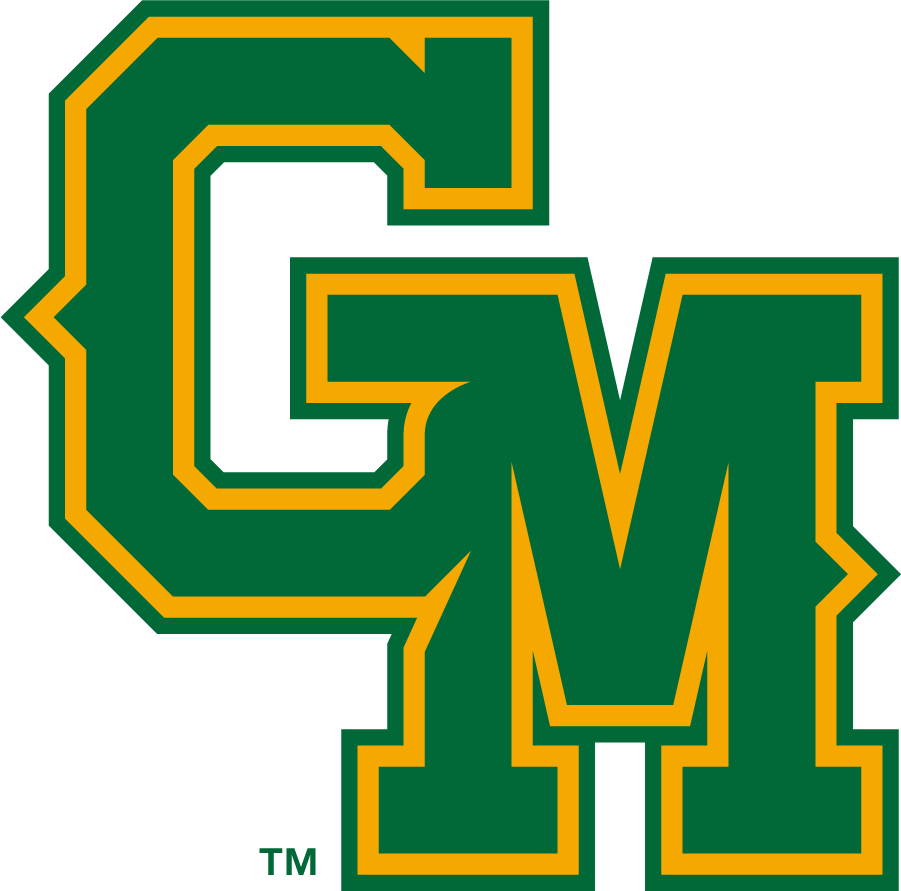 George Mason Patriots 2017-2024 Alternate Logo diy iron on heat transfer